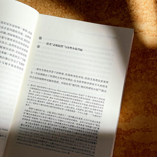 飞翔的姿势 1990年代墨西哥女性小说批评 陈硕 女性叙事 商品图7