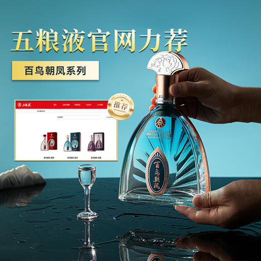 【五粮液新品 家宴限定款】五粮液-百鸟朝凤系列/宫廷蓝 浓香型白酒 52%vol 商品图9
