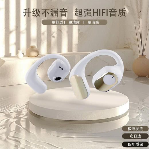 亰维渡PM003挂耳式蓝牙耳机 商品图1