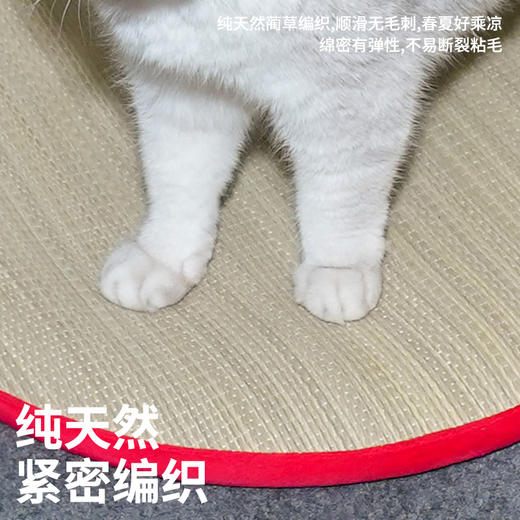 zeze红苹果蔺草宠物垫-B（包邮） 商品图2