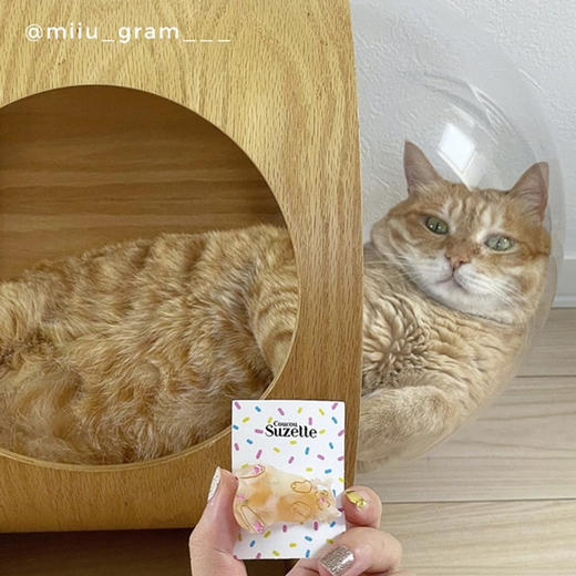 北京仓｜Coucou Suzette-Chat Roux-橘猫 发夹［法国设计师］ 商品图5