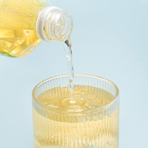 【中华老字号】寿全斋 金银花菊花茶 750ml*12 商品图2