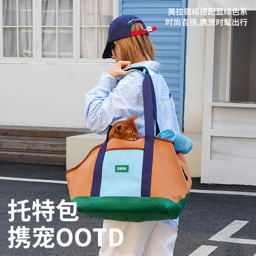 zeze帆布休闲宠物包-B（包邮） 商品图1