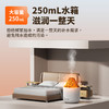 亰维渡Y10火山加湿器 商品缩略图3