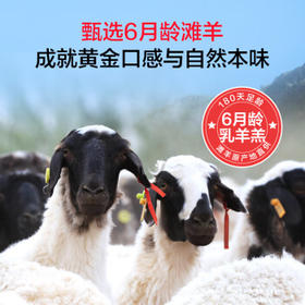 1号会员店（One's Member） 宁夏盐池滩羊 法式羊排 净重420g 180天乳羔羊 羊肉烧烤食材