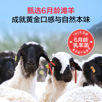 1号会员店（One's Member） 宁夏盐池滩羊 法式羊排 净重420g 180天乳羔羊 羊肉烧烤食材 商品图0