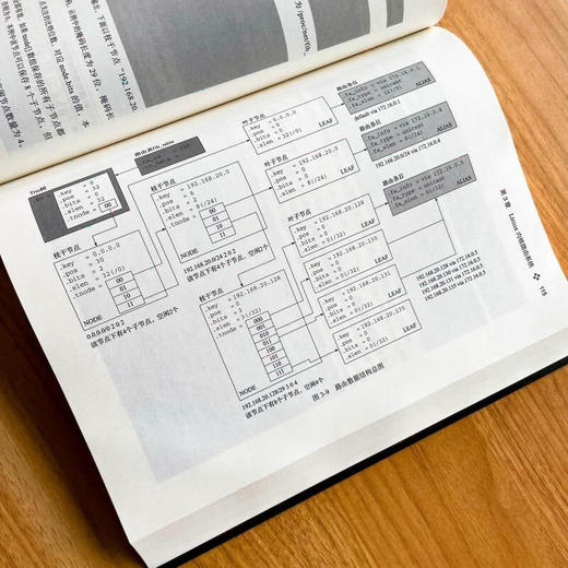深入理解Kubernetes网络系统原理 商品图6