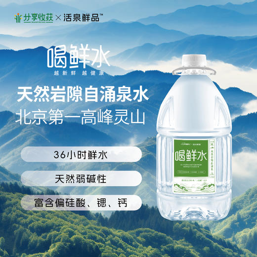 喝鲜水 | 北京灵山 天然自涌泉水  天然弱碱性  36小时京东配送到家 | 基地直发 周六生产发货 周日到配送到家 商品图2
