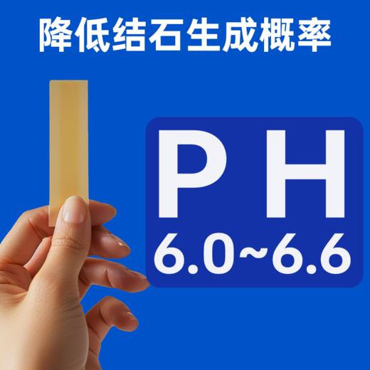 澳龙澳维康猫泌尿道呵护猫粮1.2kg赠50g试吃 商品图2