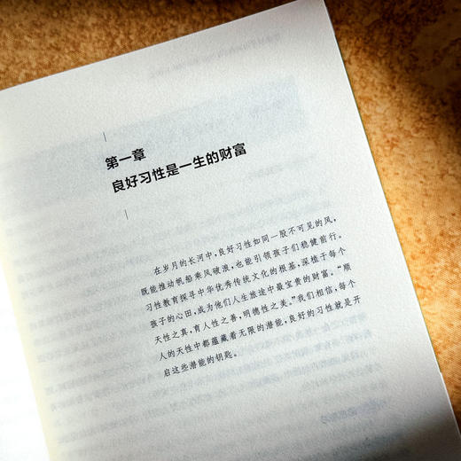 可感的学习经历 习性教育课程体系探索 新质课程文化丛书 商品图9