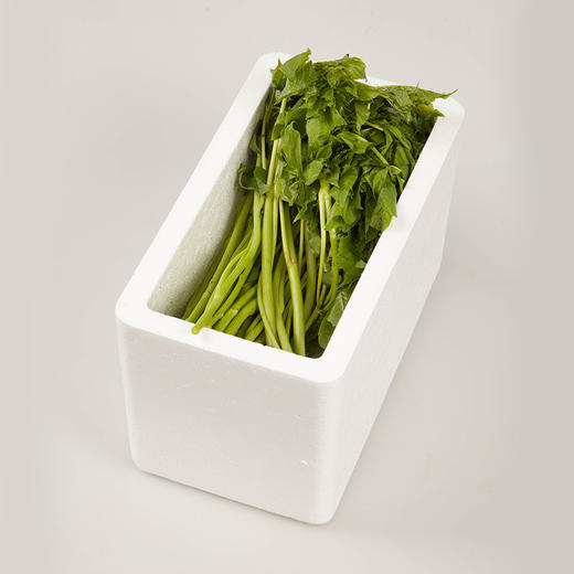 【东北新鲜刺五加】菜1斤东北山野菜刺果棒刺拐棒蘸酱菜 商品图4