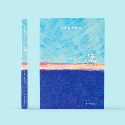 《牛津通识读本：代数》 商品图1