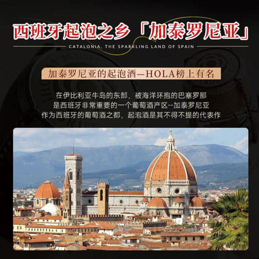 【西班牙原瓶进口】巴塞之花·起泡干白葡萄酒 8.5%vol 商品图4