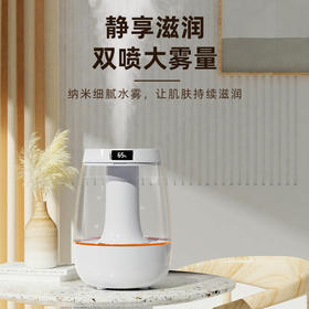亰维渡JH-019双喷加湿器