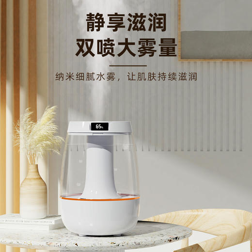 亰维渡JH-019双喷加湿器 商品图0
