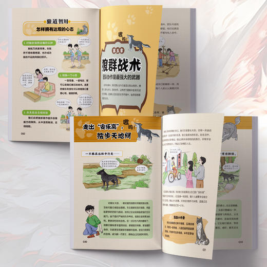 狼之道 商品图5