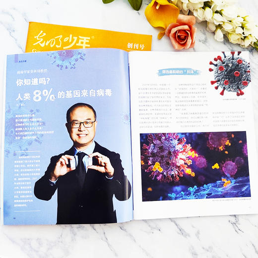 光明少年（1年共12期）（杂志订阅）2026年5月起订 商品图3