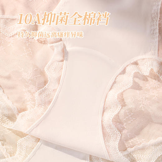 性感网纱蕾丝美臀裤（3条装） 商品图4