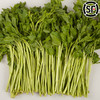 【东北新鲜刺五加】菜1斤东北山野菜刺果棒刺拐棒蘸酱菜 商品缩略图1