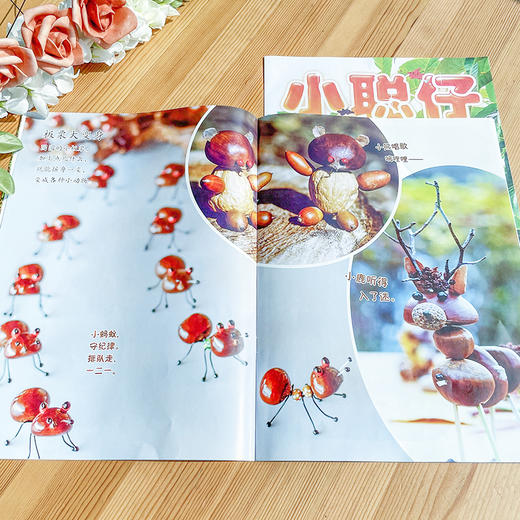 【杂志】《小聪仔》自然科普杂志2026年刊订阅（科普版、幼儿版） 商品图3