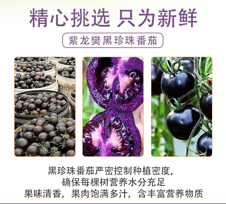 黑珍珠番茄详情页_07.jpg