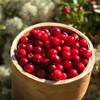野生蓝莓/混合果酱  | 合作生产* Wild Berry Jam | Coproduction 商品缩略图1