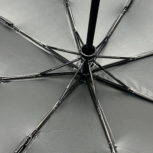 伞界劳の莱斯！⁪8股3折！⁠！防紫外线晴雨伞！德国百年老牌，官旗258 ~！ 商品图14