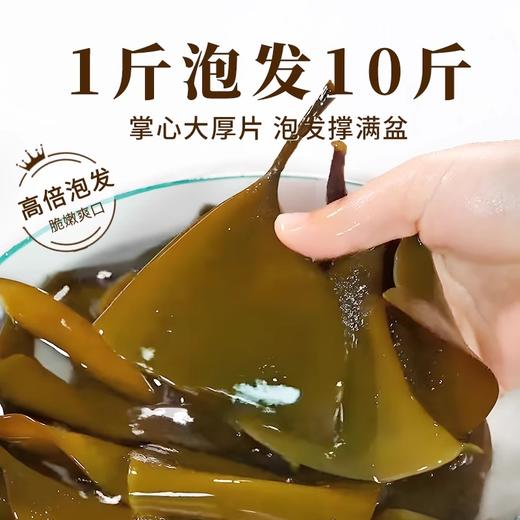 特级优质海带头250g*1袋 精选大片 久煮不烂 口感厚实有嚼劲 商品图3