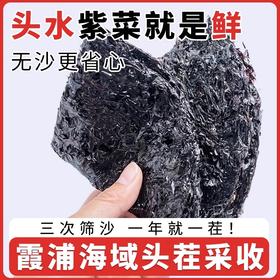 霞浦头水紫菜50g*1袋 现捞现晒 3次筛沙 煮汤一口鲜掉眉毛