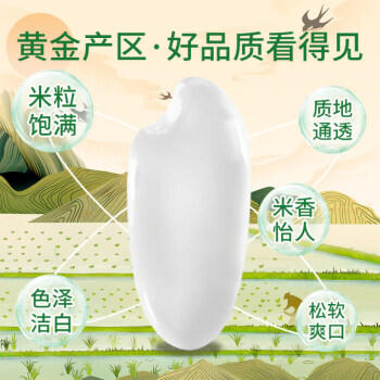 太粮 御泰坊纳象大米10斤 籼米长粒5kg 当季新米 /粮油调味 /米 /油粘米 商品图7