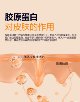 揭秘！肌肤冻龄的宝藏成分——胶原蛋白