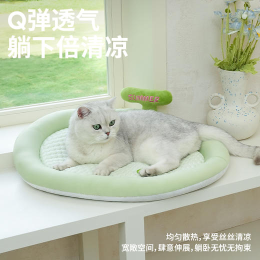 zeze哈密瓜冰感宠物垫-B（包邮） 商品图1