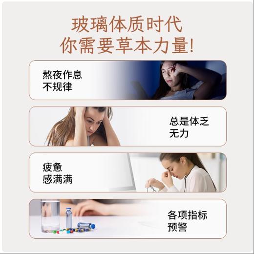 塔哈尔河多孔菌黄芪提取液桦树茸饮品50ml*10瓶 商品图4