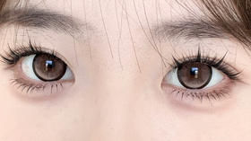 Sondercon半年抛美瞳 奶油泰迪 14.5mm