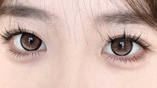 Sondercon半年抛美瞳 奶油泰迪 14.5mm 商品图0