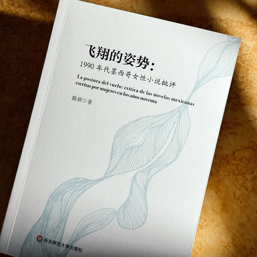 飞翔的姿势 1990年代墨西哥女性小说批评 陈硕 女性叙事 商品图4