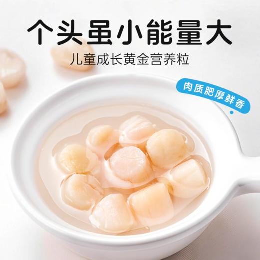 天然无盐干贝250g*1袋 浓缩7倍营养 肉质肥厚鲜香 商品图2