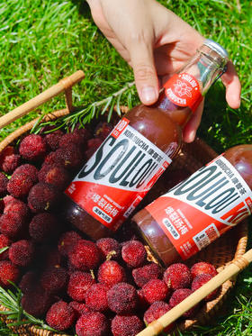 独奏茶/爆裂杨梅