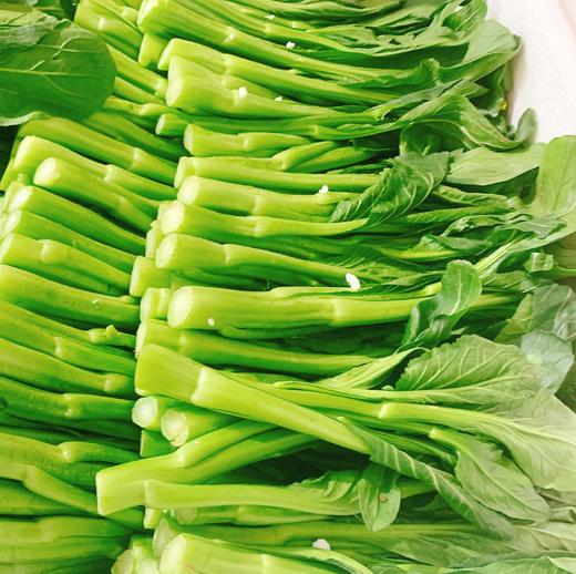 宁夏中尖菜心 |蔬菜 商品图0