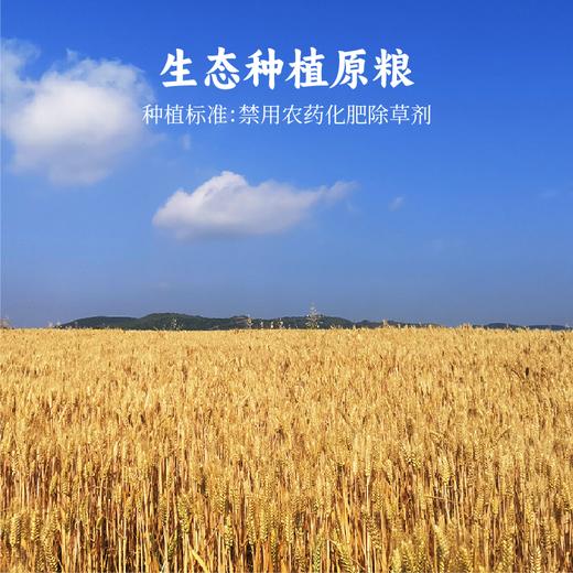 【谦益】香畴原麦薄饼198g 轻薄香脆 自然本味 非油炸 椒盐味/甜味 两种口味可选 【多联装】 商品图4