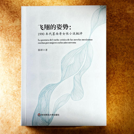 飞翔的姿势 1990年代墨西哥女性小说批评 陈硕 女性叙事 商品图1