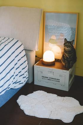 地毯给人和小猫都带来了实实在在的幸福感！