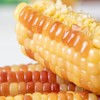 【西双版纳花糯玉米】软糯香甜,现摘现蒸,真空锁鲜！ 商品缩略图3