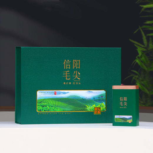 源头好茶【绿.4听毛尖】20元1套.整箱20套 商品图1