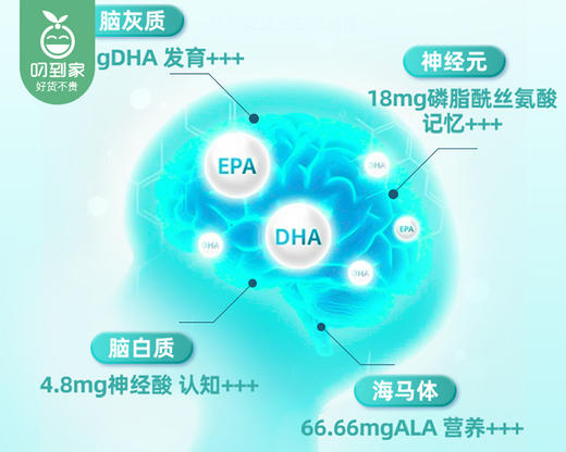 新西兰VIKDHA磷脂酰丝氨酸凝胶糖果/1瓶（0.67gX60粒）生产日期：24年3月补单专用 商品图2