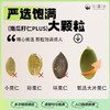知疆味·南瓜子仁252g*3罐  配料只有南瓜子 减脂期也能放心吃 商品缩略图3