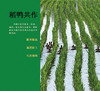 2025新米【买2盒减8元+送2袋（0.5kg/袋）有机粥米】马棚湾有机大米 产地高邮 生态大米 外形饱满 油亮光滑清香四溢 富有弹性和韧性 富含矿物质和微量元素 商品缩略图4