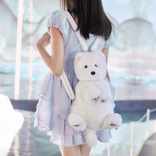 chongker布偶猫 商品图9