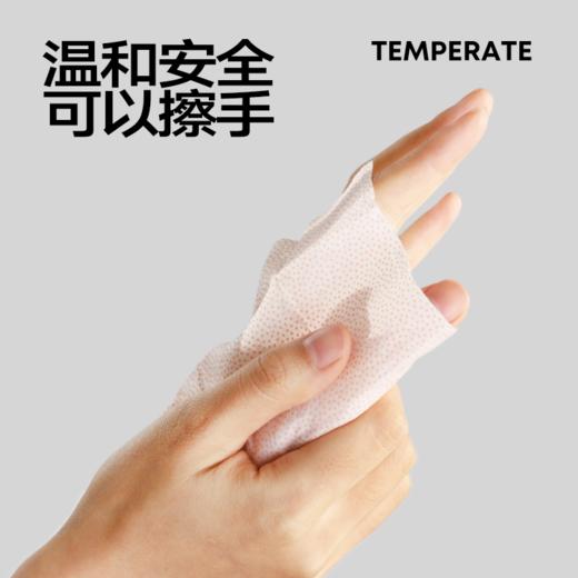 【3盒】乐乐桉小白鞋擦鞋湿巾 商品图1