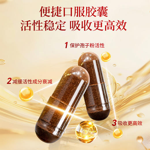 雷允上破壁灵芝孢子粉胶囊42g（350mg*30粒/瓶*4瓶）/盒 商品图6